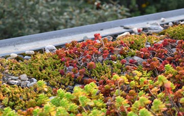 the cost of Kiveton Park green roof installation
