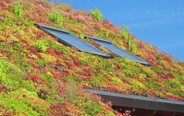 Kiveton Park living roof systems