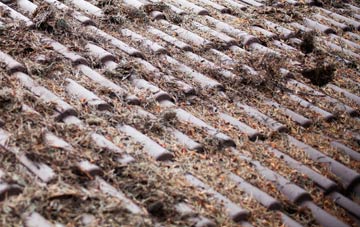 Kiveton Park roof cleaning companies